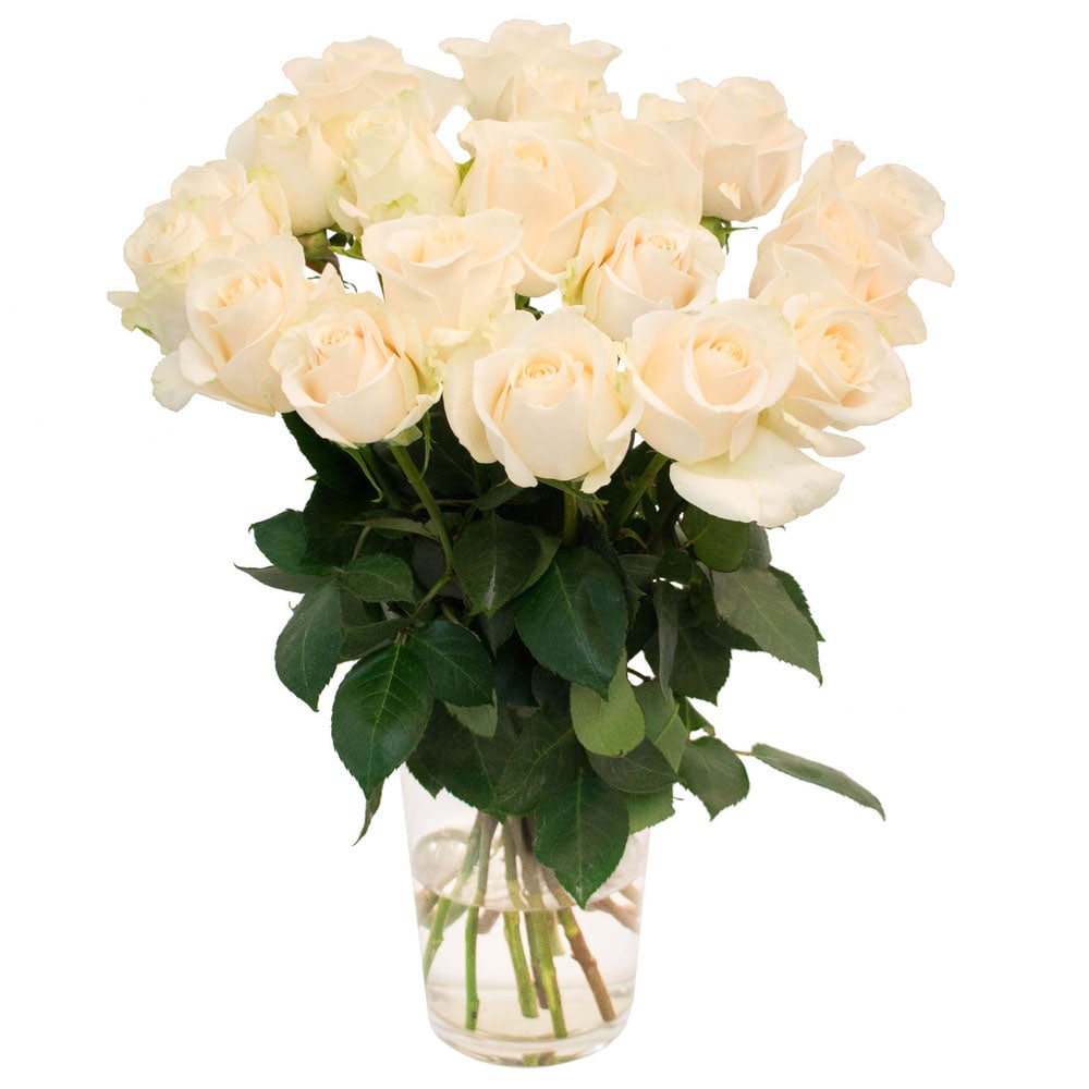 Букет из белых роз (ЭКВАДОР)